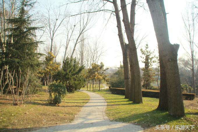 郑州思念果岭是森林公园吗,郑州思念果岭高尔夫球场