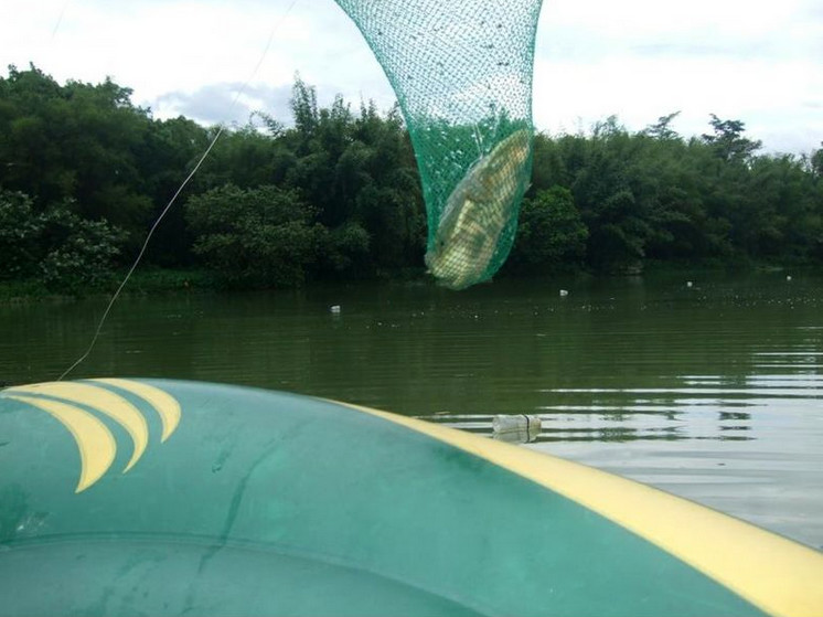 捕鱼技巧矿泉水瓶,爸爸捕鱼记