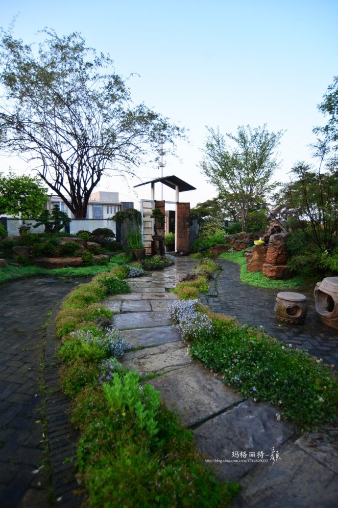 鎷滆涓滅鑽夊爞,鑺卞洯鎷滆