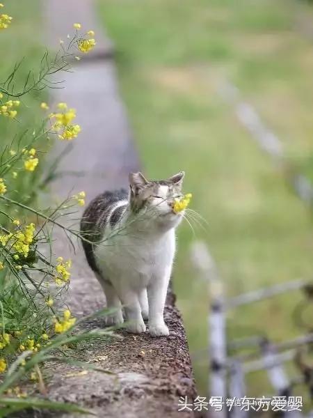 亲子互动手指谣,亲子互动手指谣小板凳