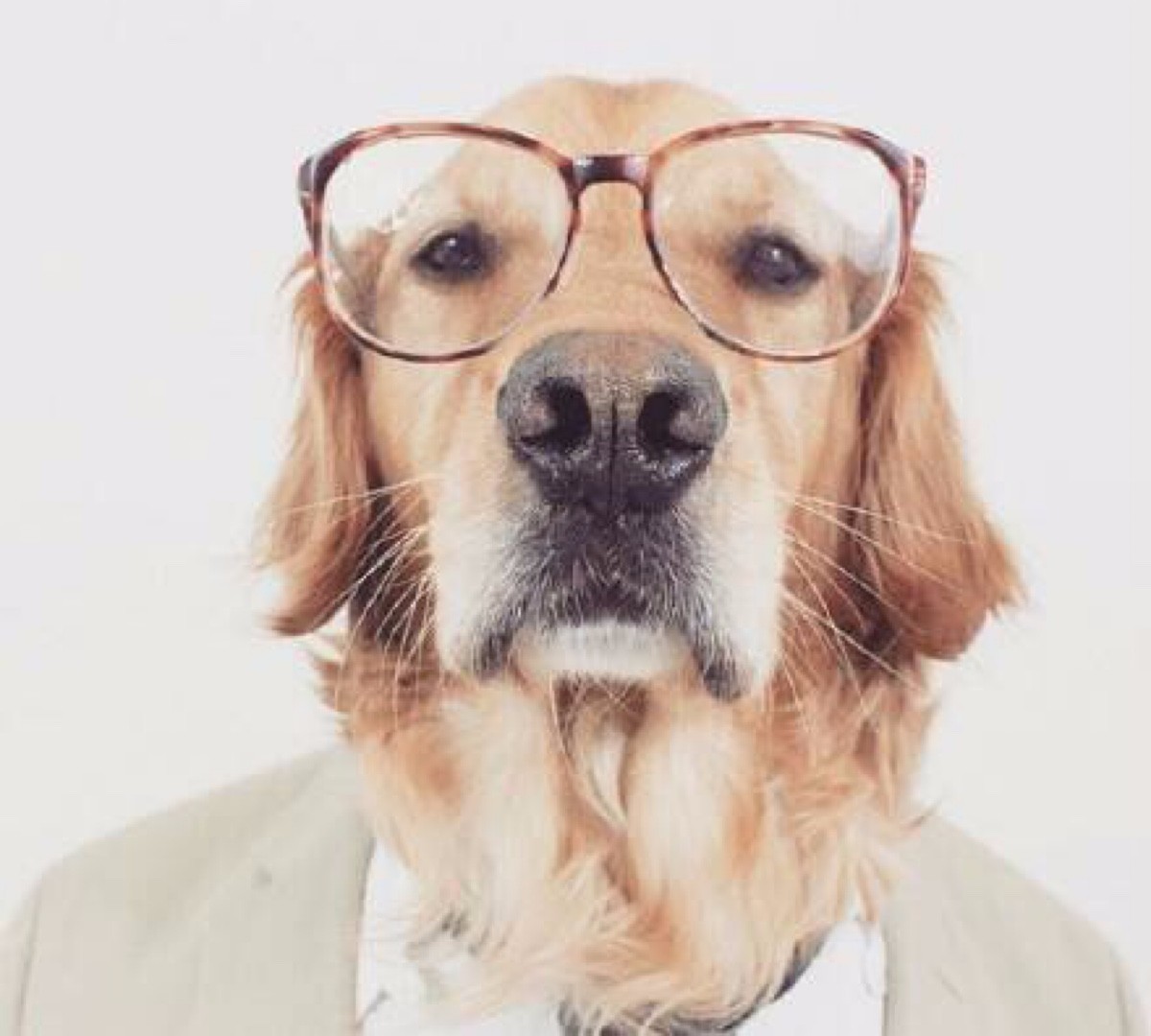 你想成为什么样的设计师,当一个设计师是什么体验