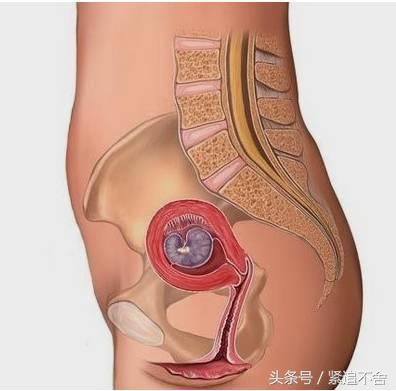 超萌龙凤胎宝宝图片,孕1到9周胎儿发育全过程