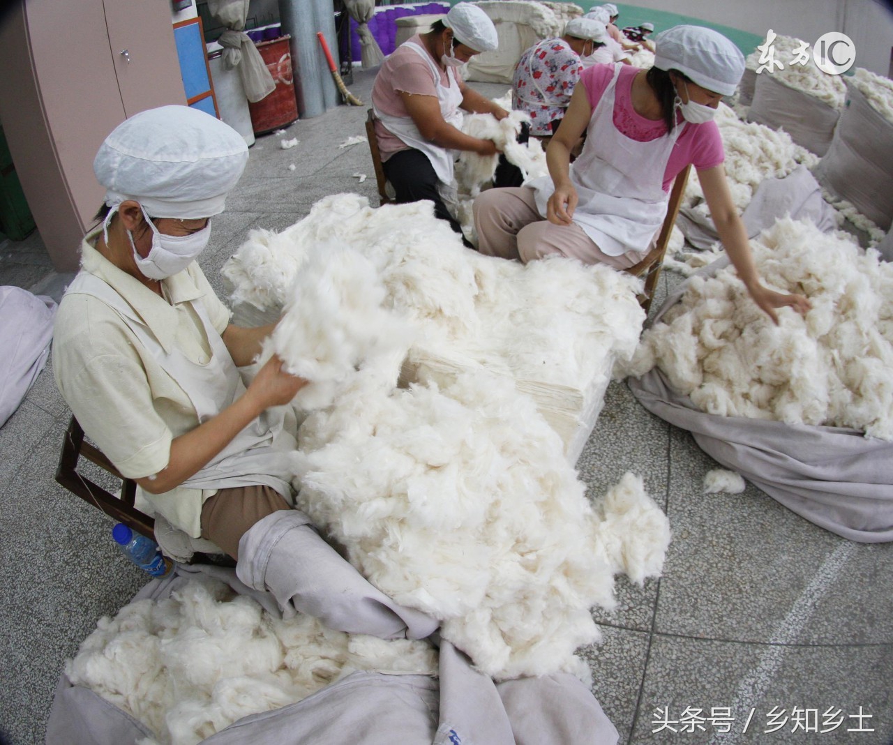 棉花品质主要看哪些方面,什么样的棉花