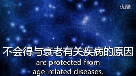 一起来看一下吧！流行欧美大陆，贝嫂、杨幂都在用的轻断食减肥法！