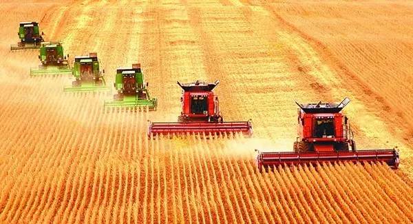 国家推进马铃薯主粮化影响,中国农业经历了几次主粮改革