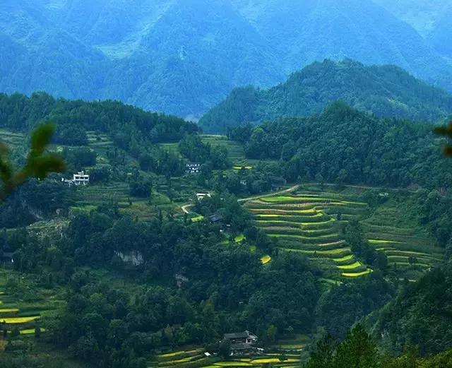 苏马荡避暑胜地是在哪个县,7月的苏马荡避暑真实感受