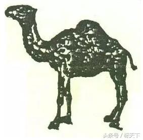 商标骆驼是什么牌,骆驼的商标是什么样的