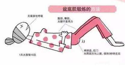 男性盆底松弛是怎么造成的,盆底松弛引起便秘吃什么药