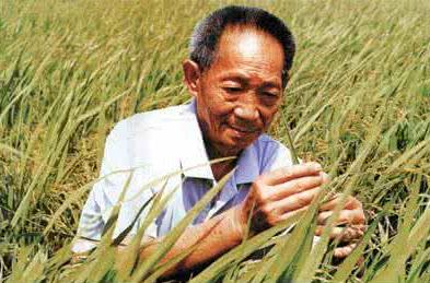 中国农业发展趋势及前景,中国农业行业前景