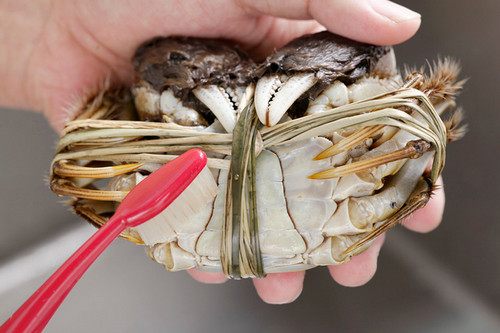 江苏阳澄湖大闸蟹礼券回收价格,江苏阳澄湖大闸蟹