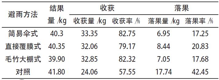 杨梅单株避雨棚,杨梅简易避雨栽培技术