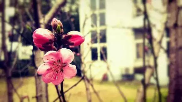 谢谢你高中征文,鲁迅中学初中