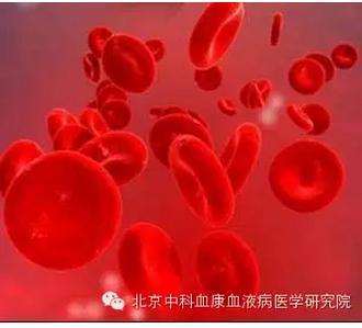 史淑荣看血液病怎么样,纯红再障性贫血最佳治疗方法