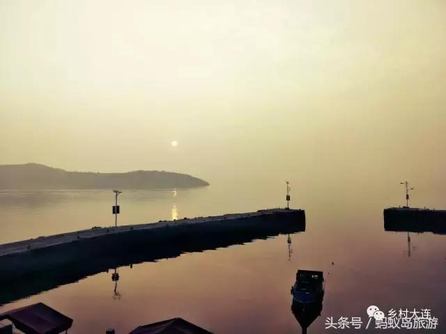 蚂蚁岛一日游,蚂蚁岛半日游