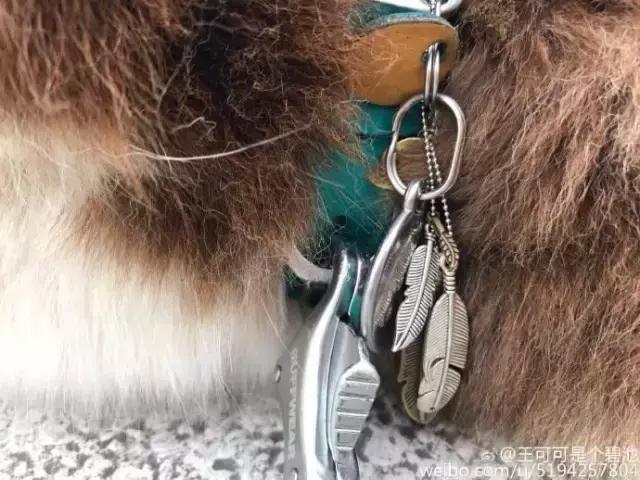 王思聪的狗坐私人飞机这和10多万的狗链比算什么？