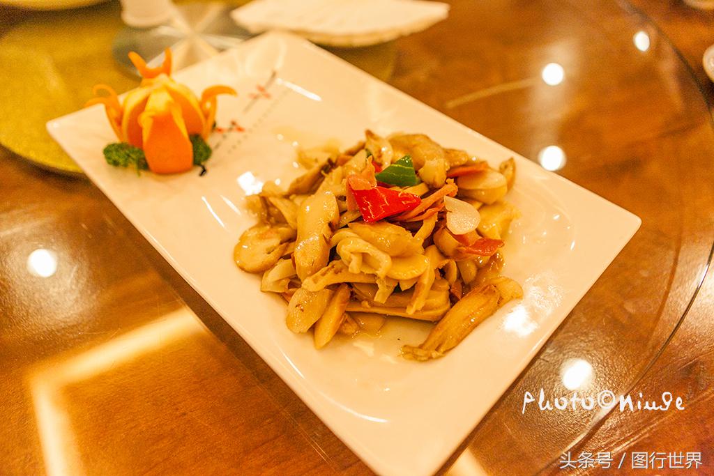 去丽江住客栈好还是住民宿,去丽江客栈还是酒店