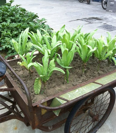 舔第二碗时，丈母娘拉我的手说：放这儿吧！等下我来洗