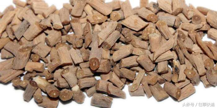 野菜虎杖的功效与作用,草药虎尾鞭功效