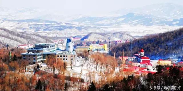 哈尔滨尚志要开挂了！如果三年后你还在尚志，将面对的竟是这些