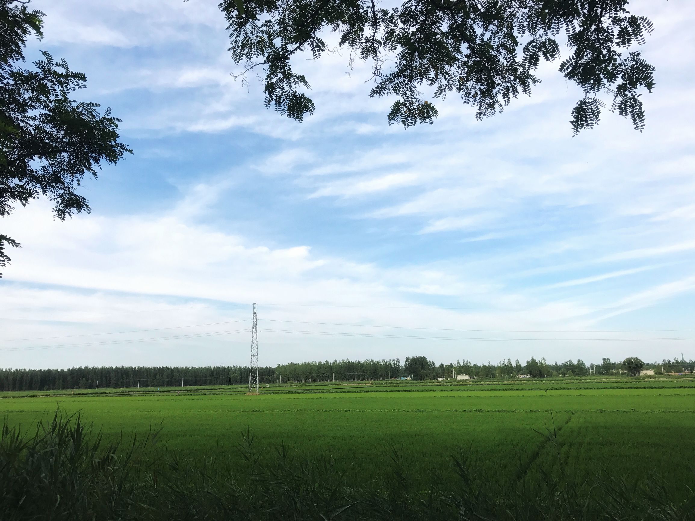 辽宁盘锦金宝度假村,盘锦欢喜岭度假村