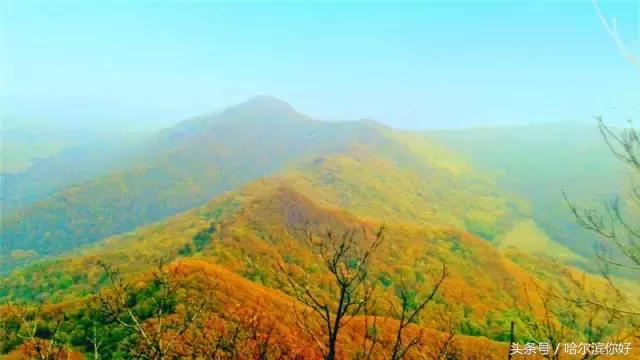 哈尔滨尚志未来5年规划,哈尔滨尚志最新规划