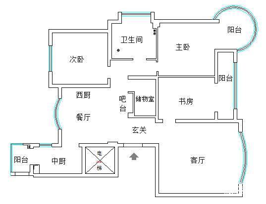 我和大熊去散步,我和大熊搭档完整视频