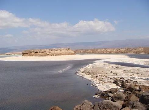 ”蓬特国“是什么地方？古埃及人会自称自己来自“蓬特之地”？