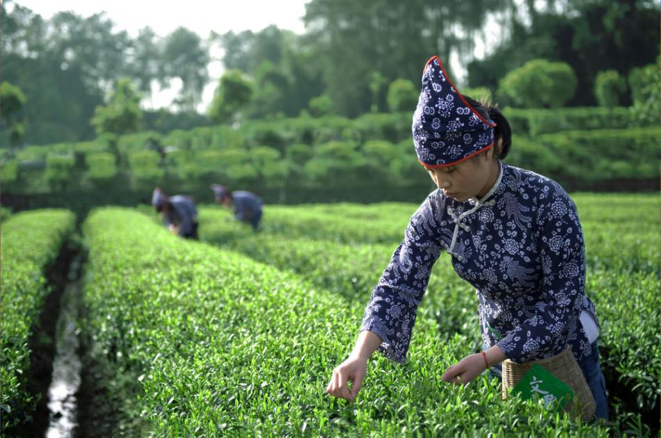 卓文君卖酒,司马相如和卓文君解说