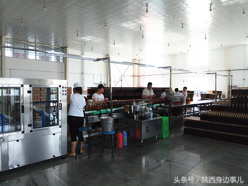 洋县秦洋长生酒业谢村黄酒,洋县秦洋长生酒业抖音号