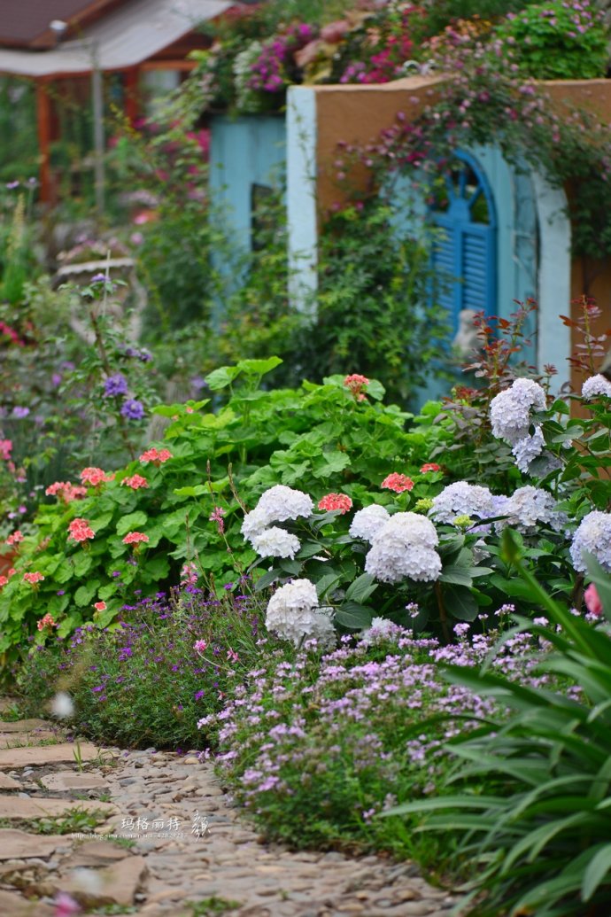 花园拜访,成都玛莉亚色彩花园电话