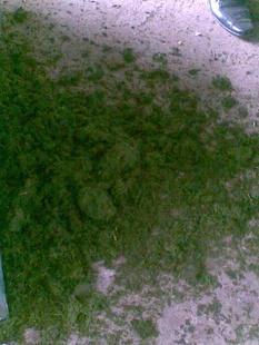 不想花钱又想省钱怎么办,不想花钱就减肥