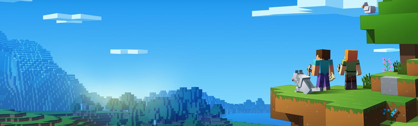 我的世界中的神秘代码,我的世界源代码