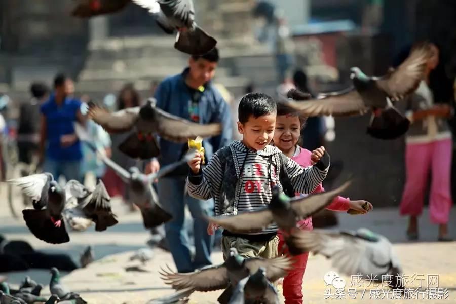 尼泊尔国歌唯一百花盛开的国度,尼泊尔百花图片