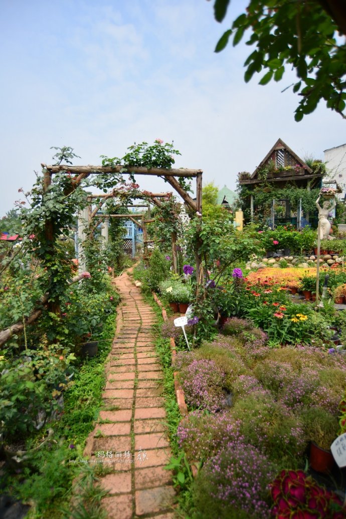 花园拜访,成都玛莉亚色彩花园电话