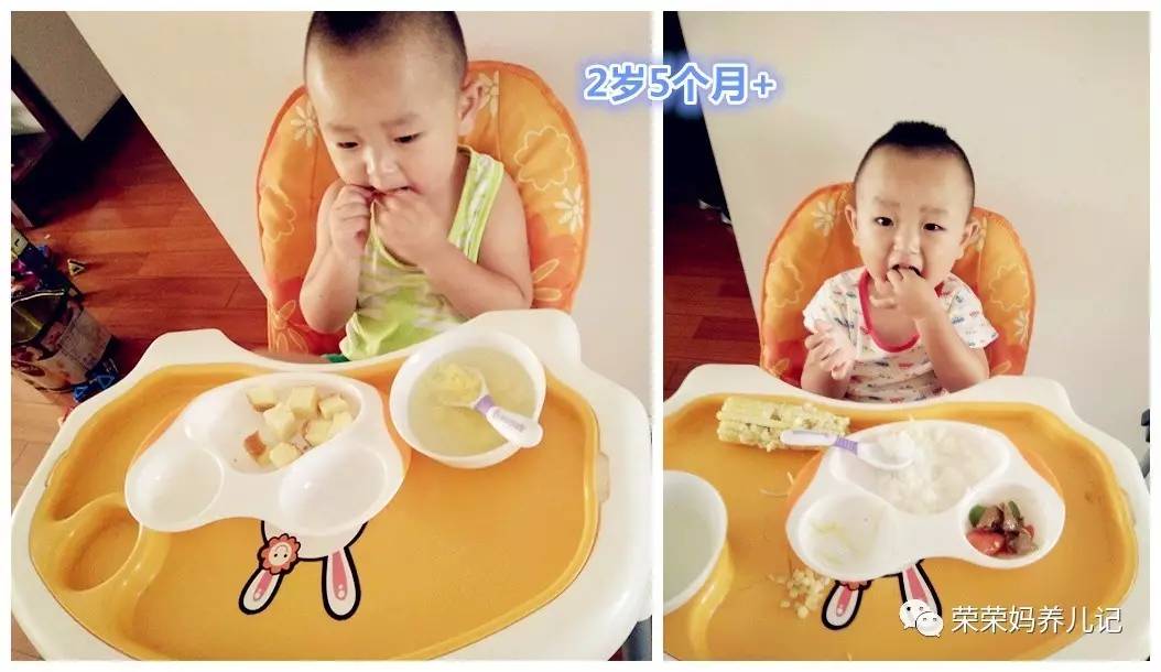 十大最好用的辅食餐具,十大最好用的辅食碗