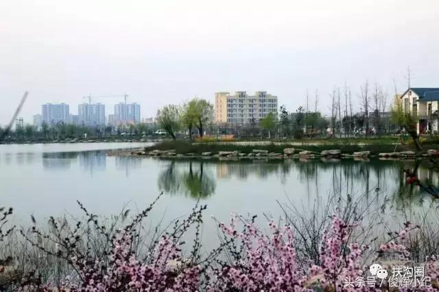 什么叫太康,什么叫扶沟