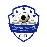 中国校园足球夺冠时刻,中国青少年足球联赛成都vs山东