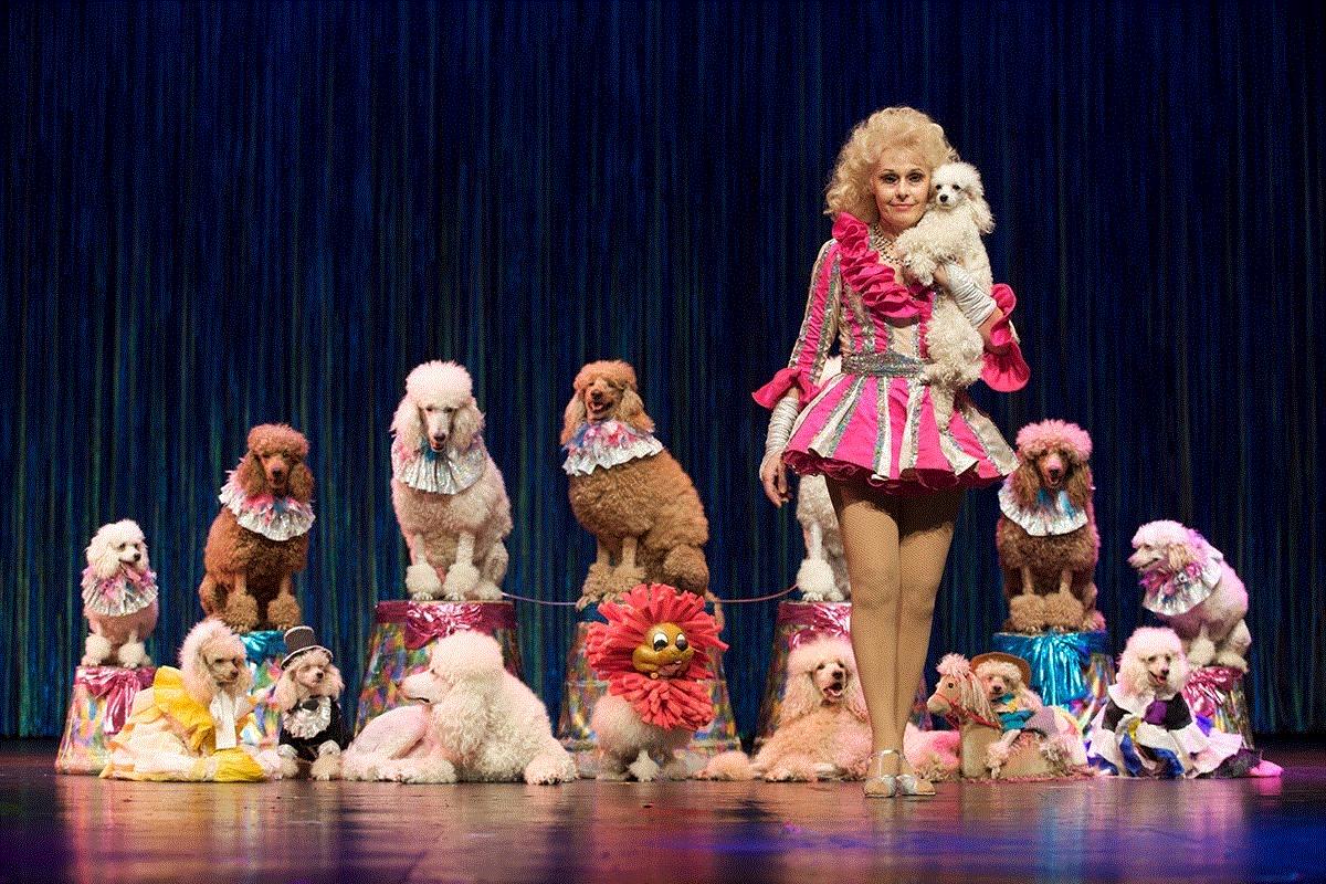 知宠是什么,知宠