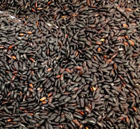 米粒为什么那么可爱,看看中国农民都不知道的12种米就知道了