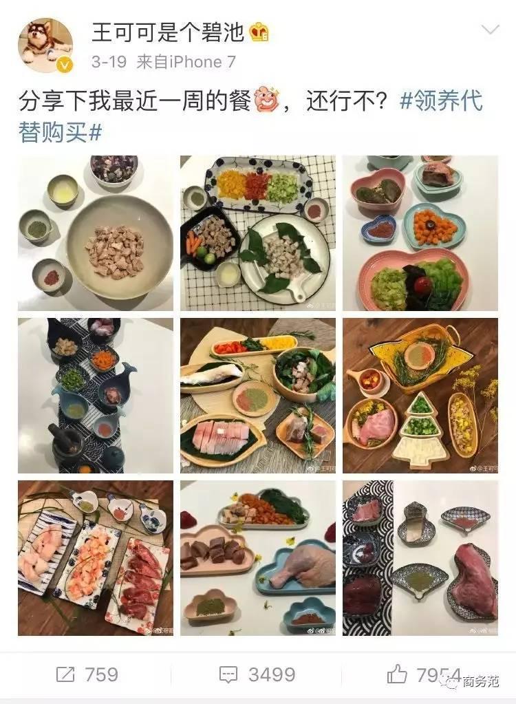 王思聪送王可可视频,王可可怎么遇到王思聪的