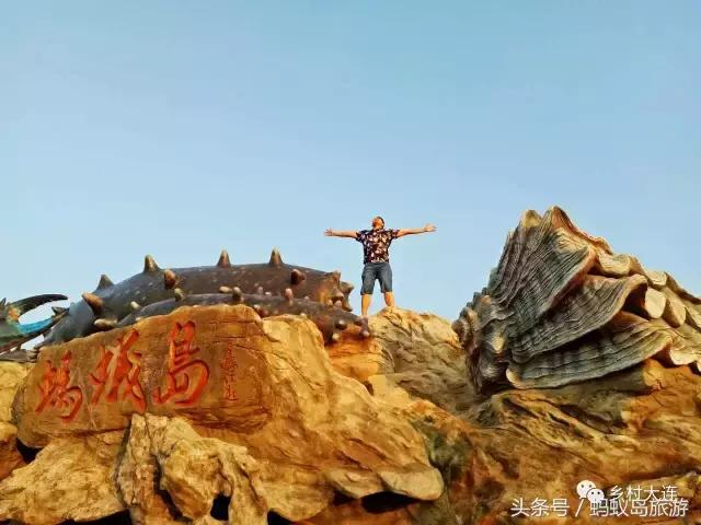 蚂蚁岛一日游,蚂蚁岛半日游