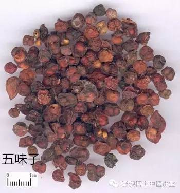 五味子治脾胃虚寒腹泻的配方,五味子治疗结肠炎