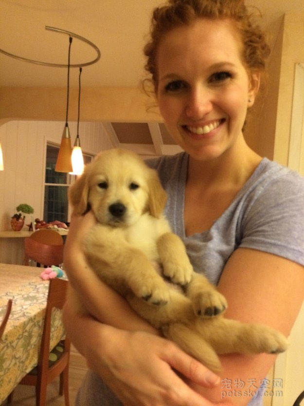 金毛牙不齐,金毛牙齿不齐视频