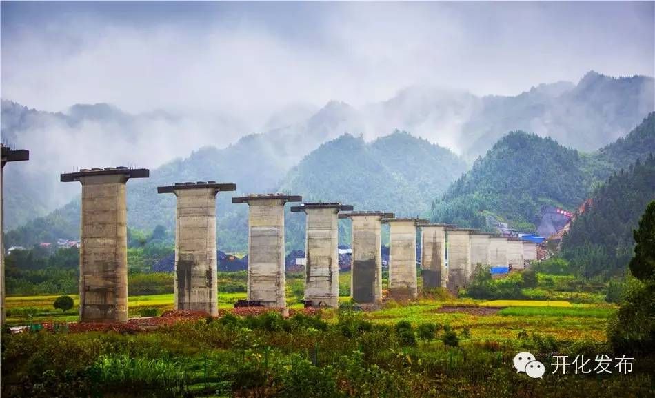 杨林的近况,杨林现在怎么样