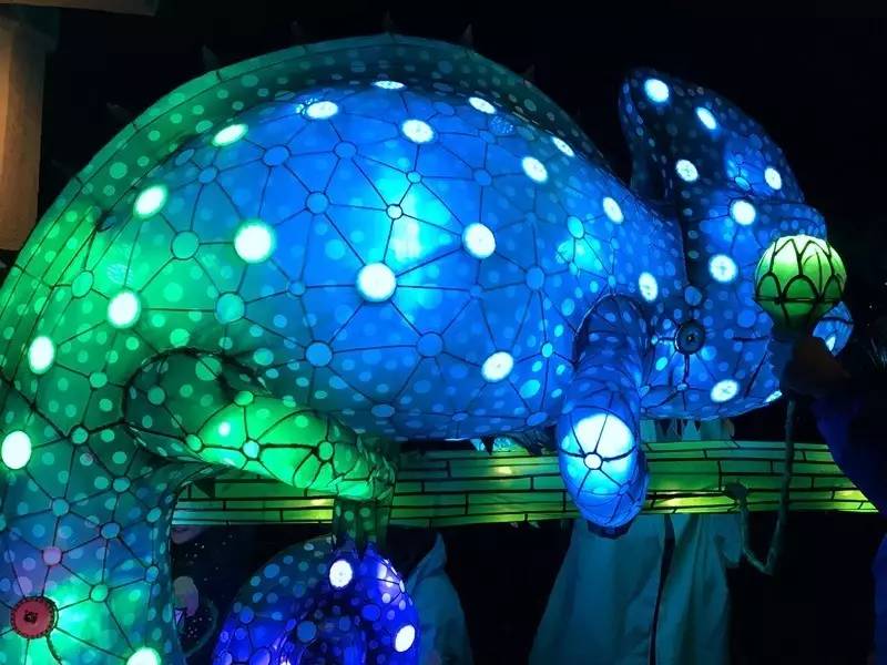 当一只“反季候鸟“,直飞到悉尼过冬天买UGG,是成都人今年暑假新玩法!