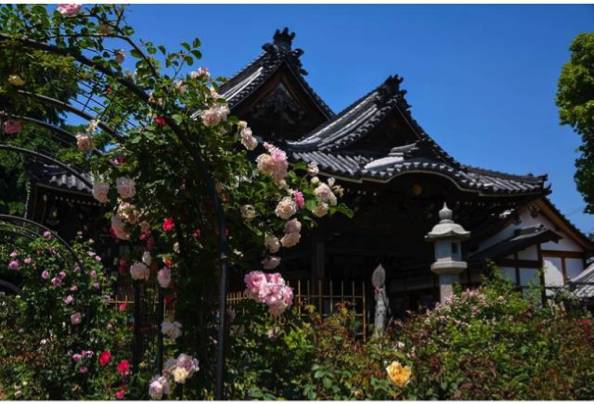 日本炎炎夏日日常生活,日本炎炎夏日