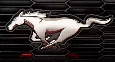 开了七八年的车是怎样的,开了那么久的车才知道的功能