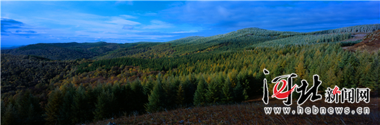 在燕赵大地续写绿色传奇