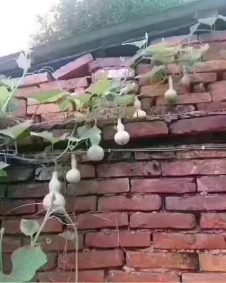 问问大家啊,如果对象要你一周内从世界8个国家给买礼物来证明你的爱,你……