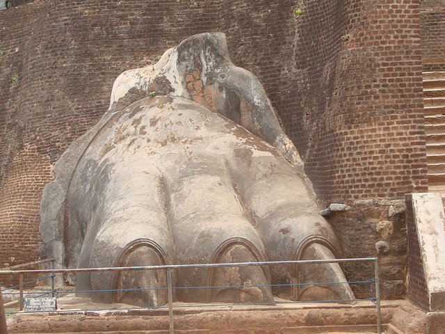 在斯里兰卡旅游必做的10件事,在斯里兰卡的难忘旅行经历